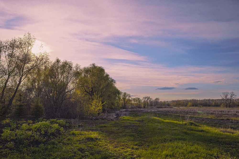 Photo 29940542