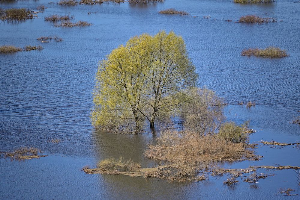 Большая вода