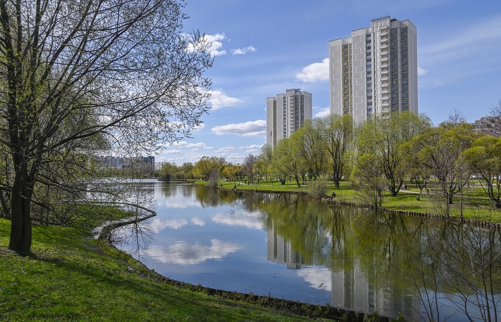 На городском пруду