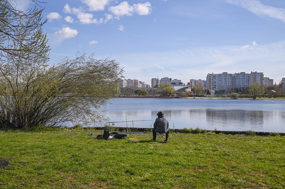На городском пруду