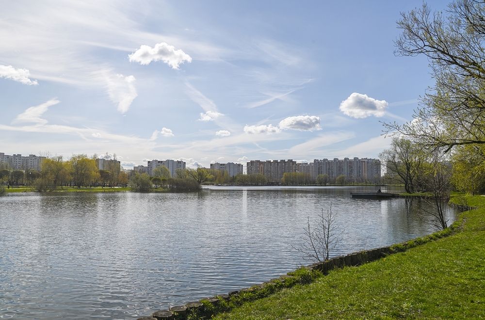 На городском пруду