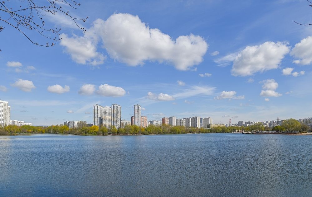 На городском пруду