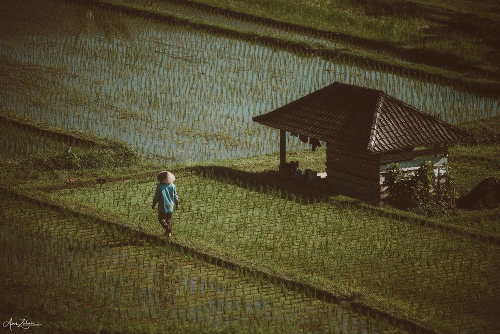 Farmers