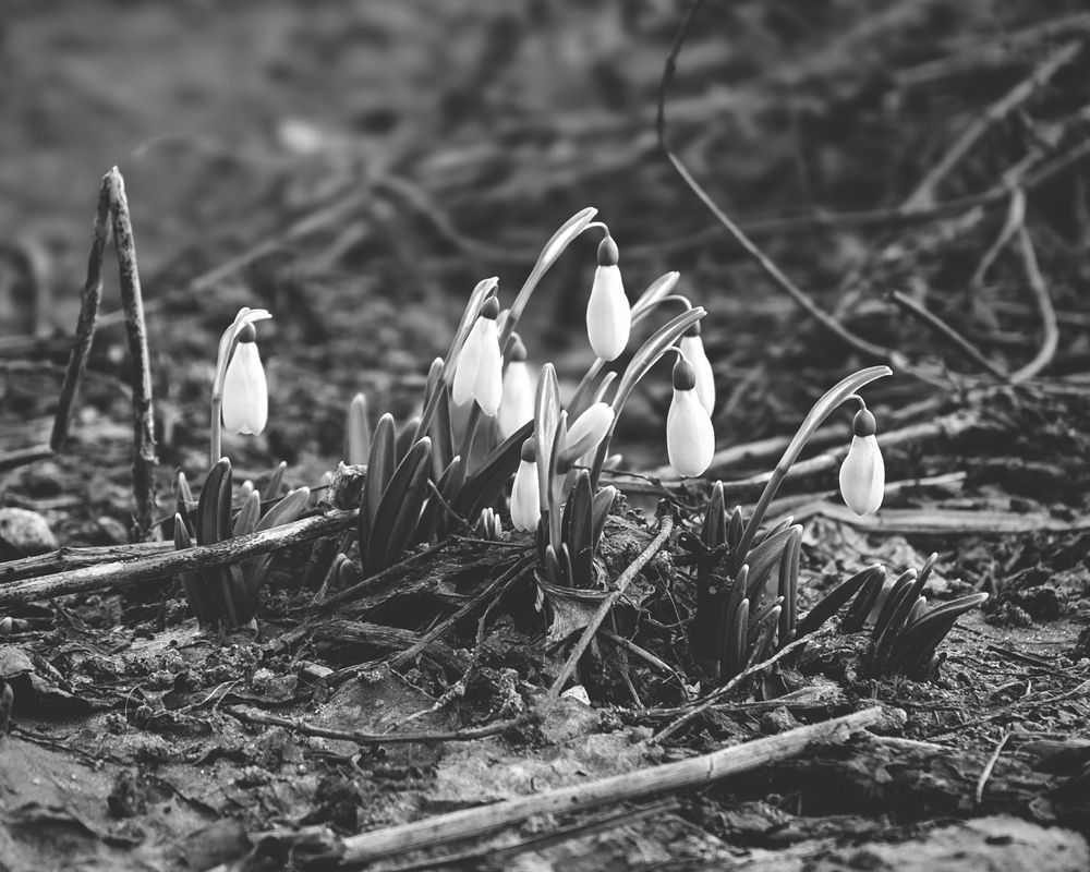 Photo 29941221