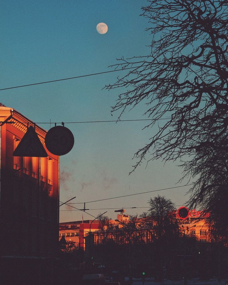 Photo 29941227