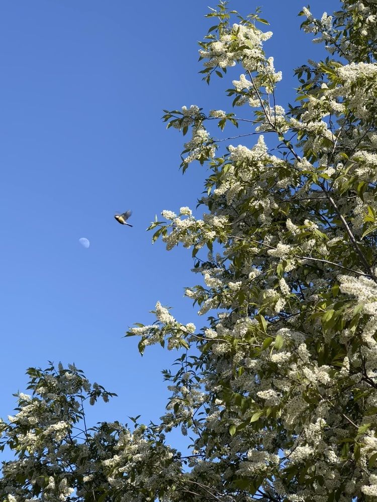 Photo 29941242