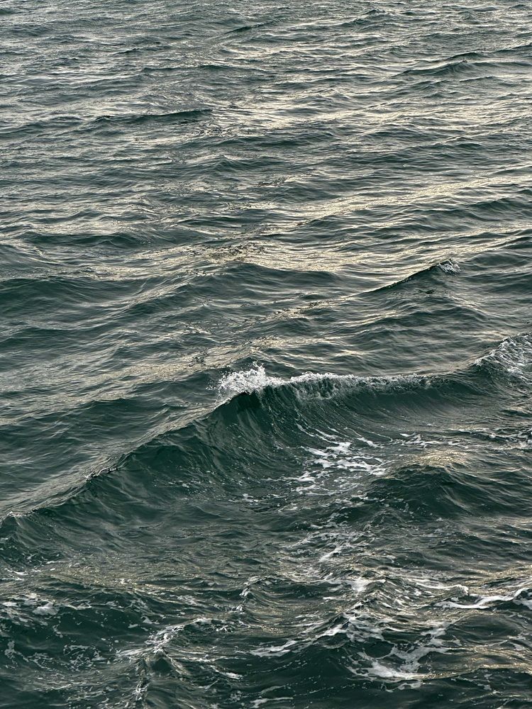 Photo 29941246