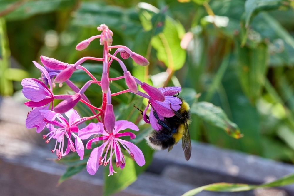 Photo 29941319
