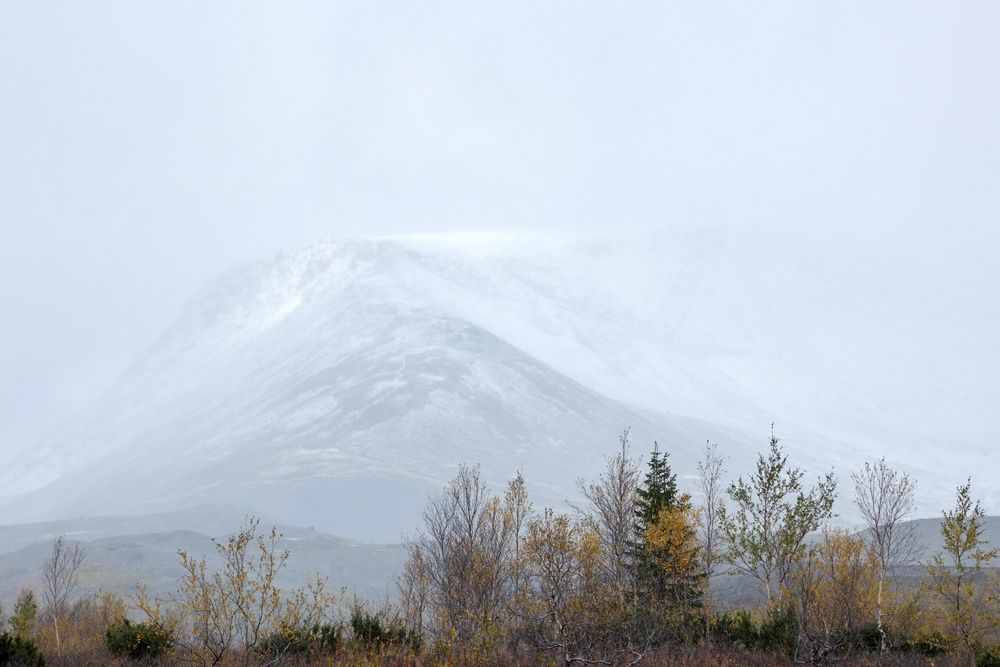 Photo 29941321