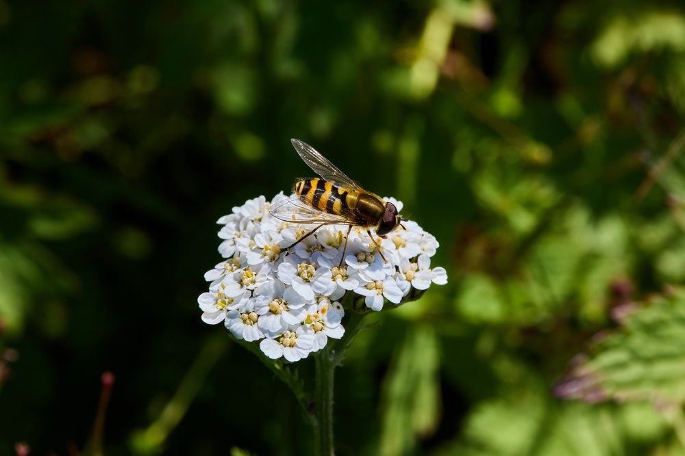 Photo 29941322