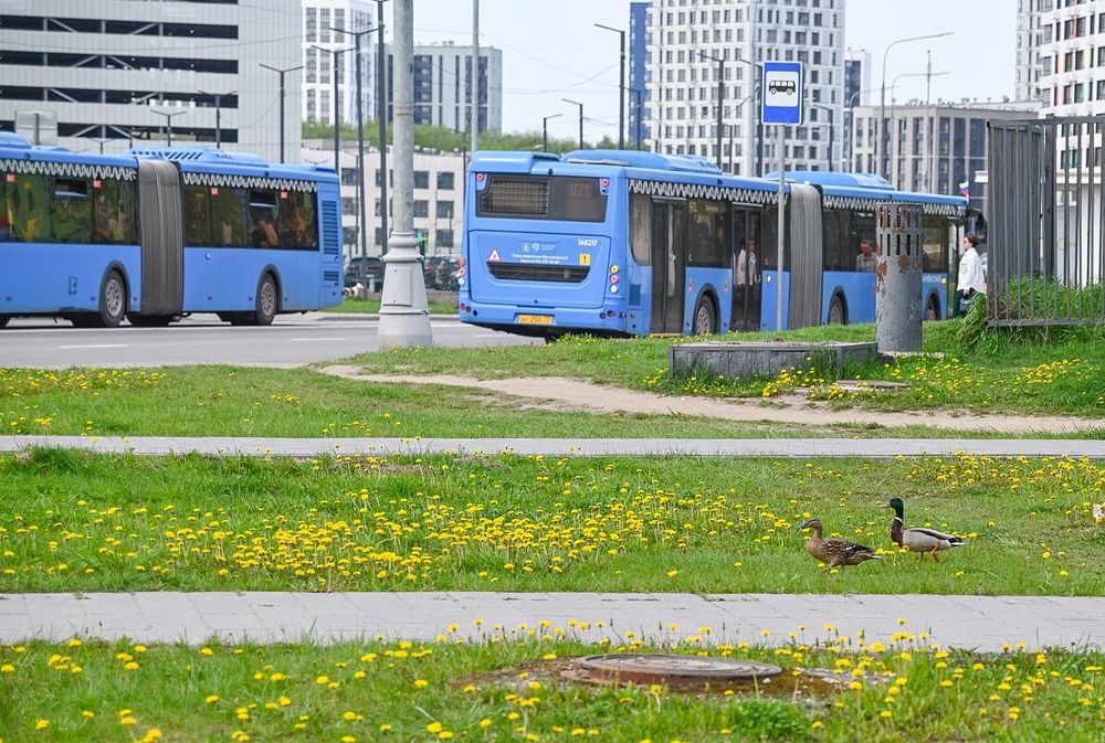 Решили прогуляться по городу