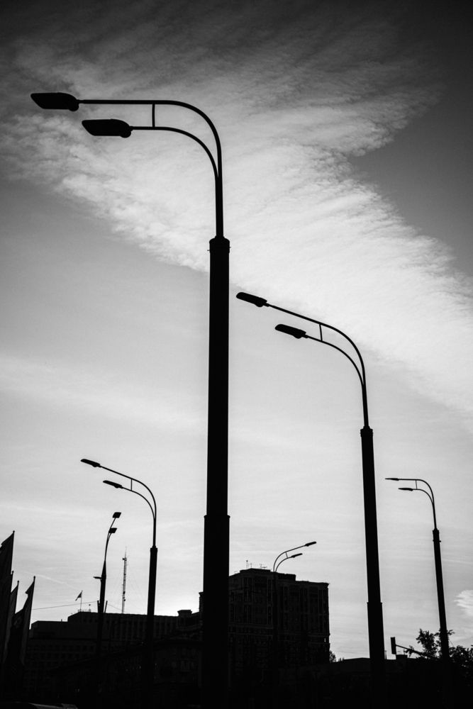 Photo 29941391