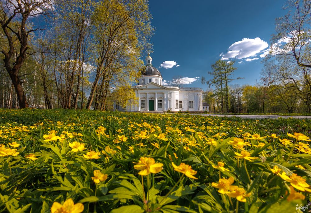 Богородицкий парк весной