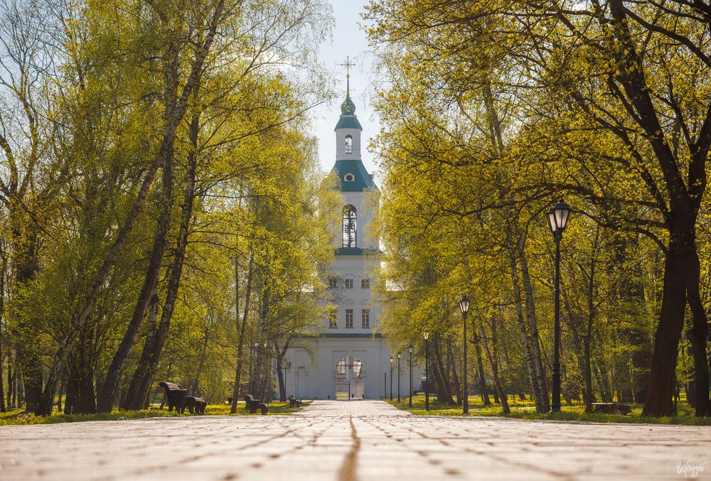 Богородицкий парк весной