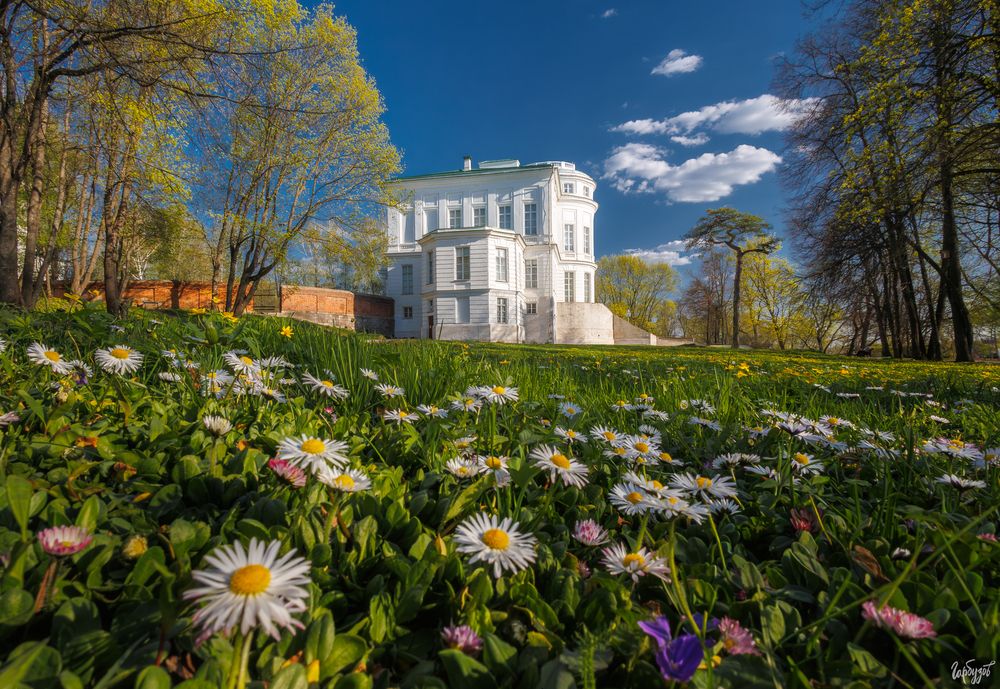 Богородицкий парк весной