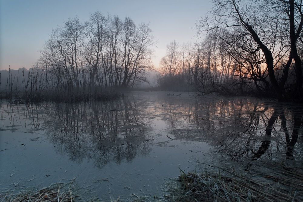 Photo 29941542