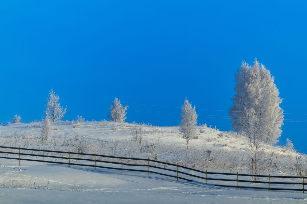 Photo 29941788