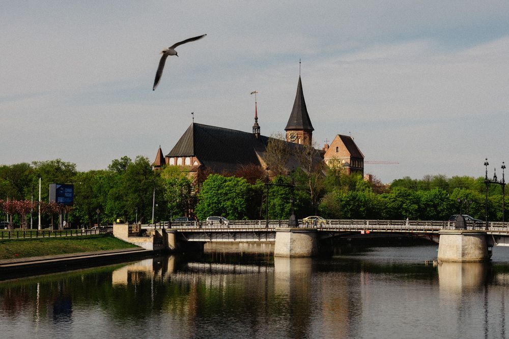 Photo 29941833