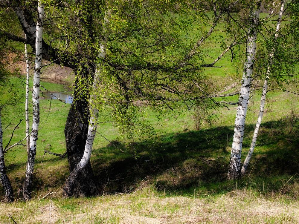 Photo 29941864