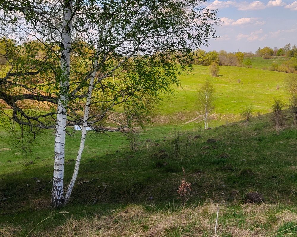 Photo 29941865