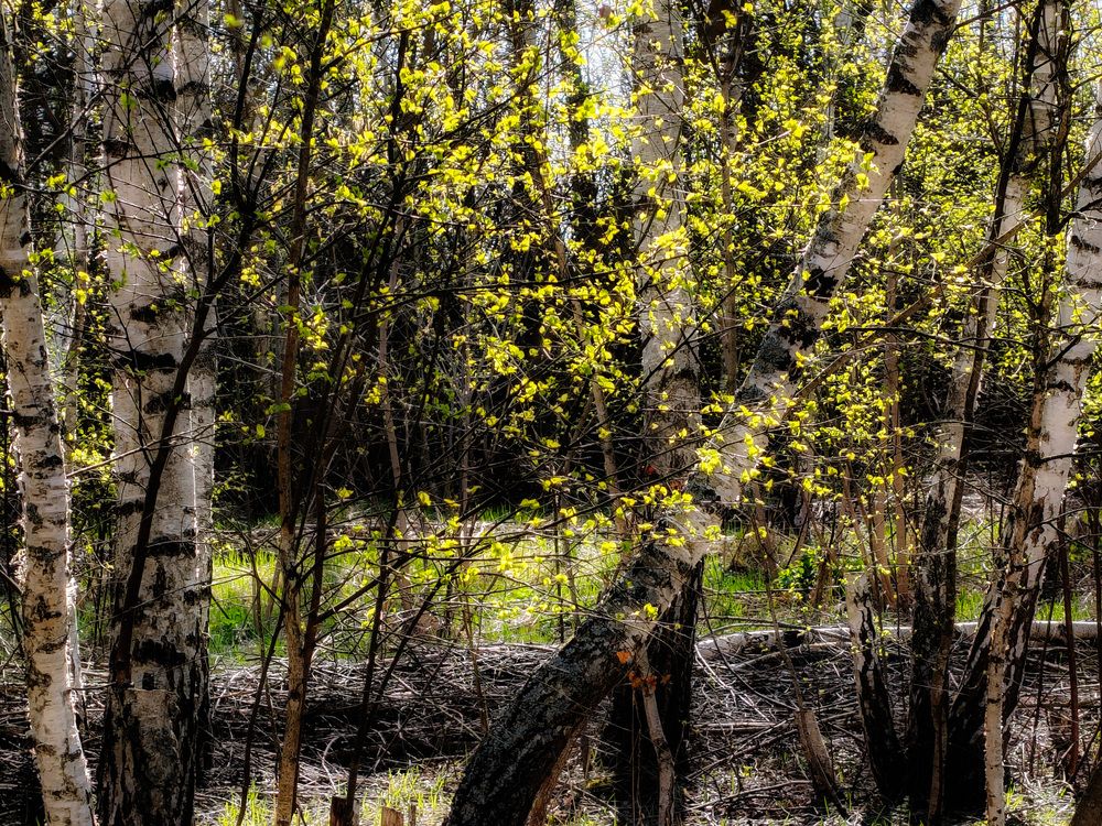 Photo 29941868