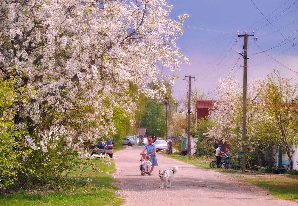 Уголок родного края 