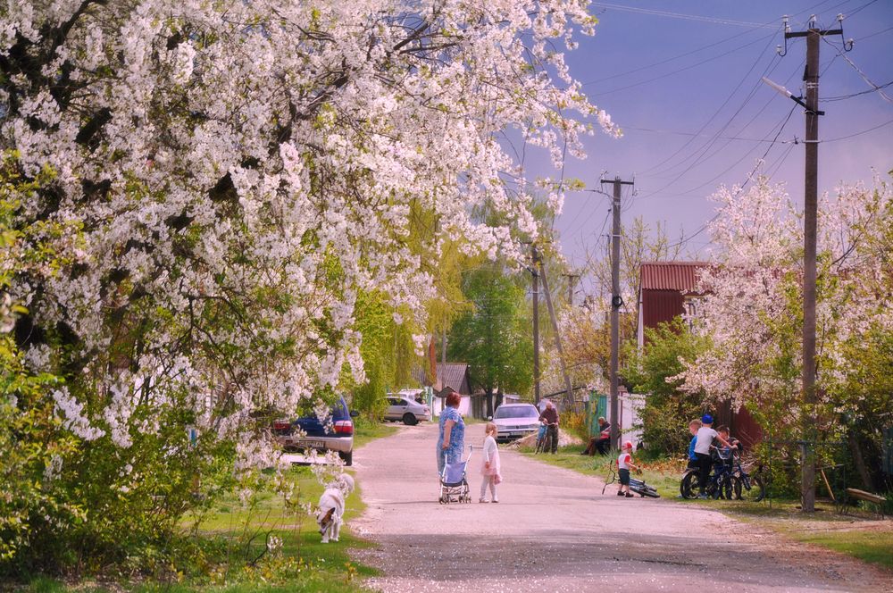 Уголок родного края 