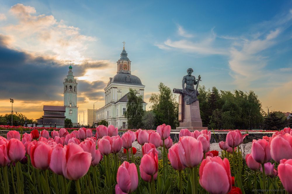 Тула майская
