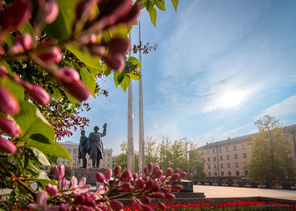 Тула майская