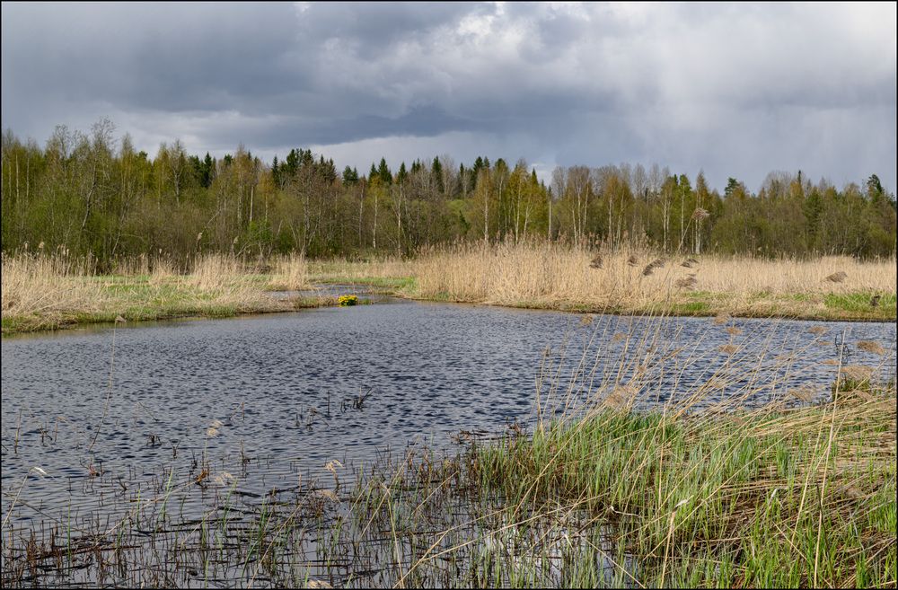 Лёгкий ветерок на речке