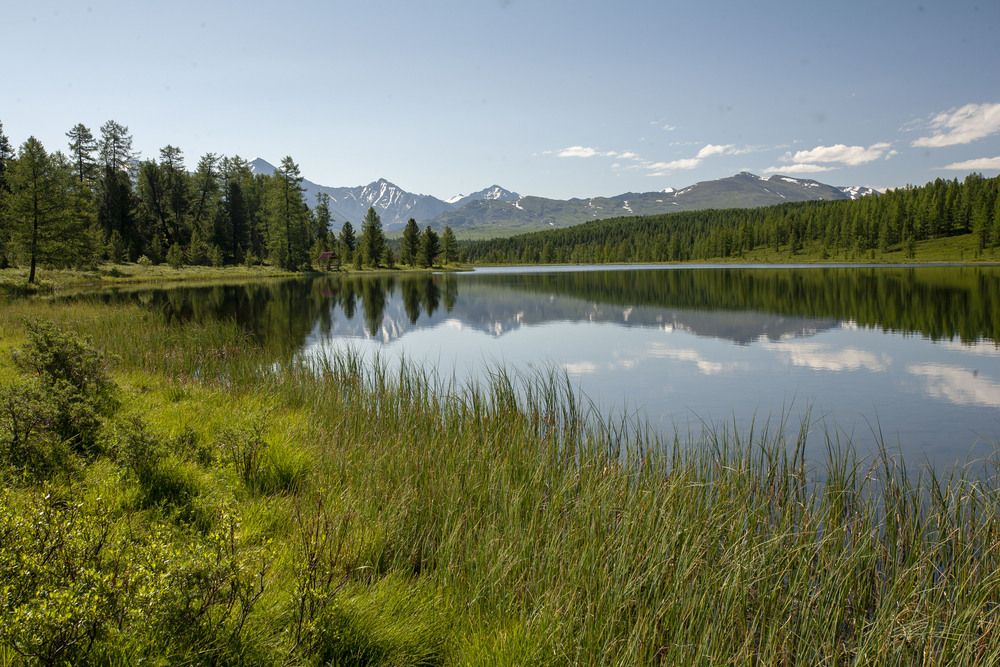 Photo 29942425