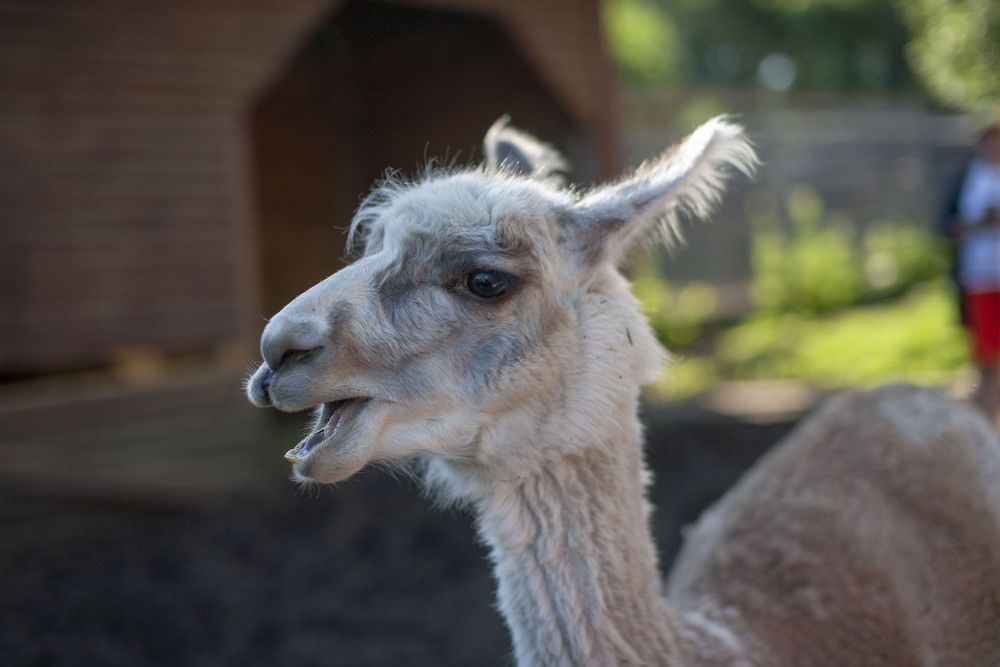 Photo 29942428