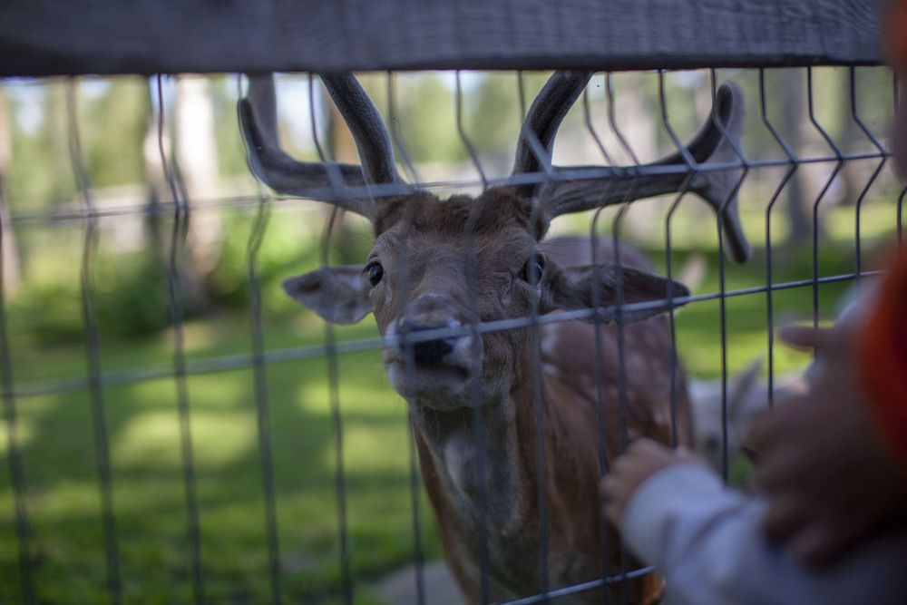 Photo 29942429