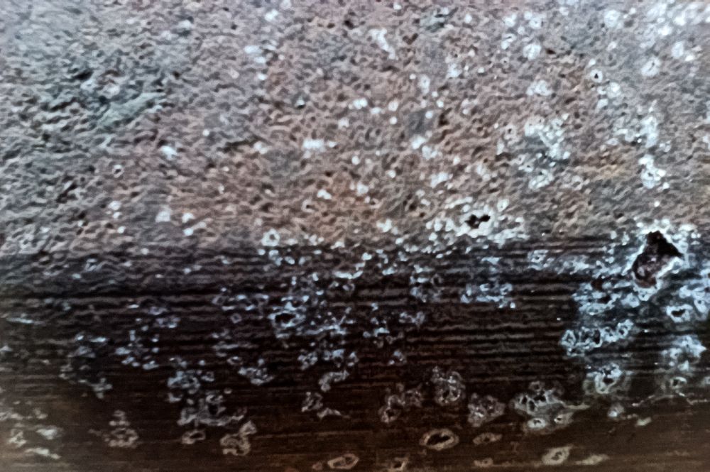 Photo 29942877