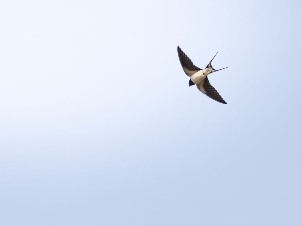 Photo 29942880
