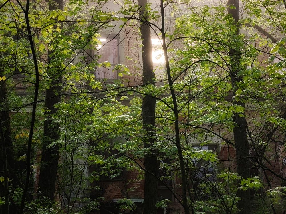 Photo 29942937