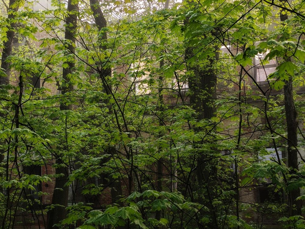 Photo 29942938