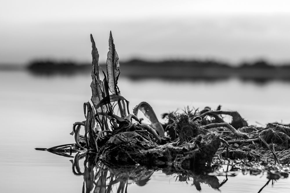 Photo 29943017