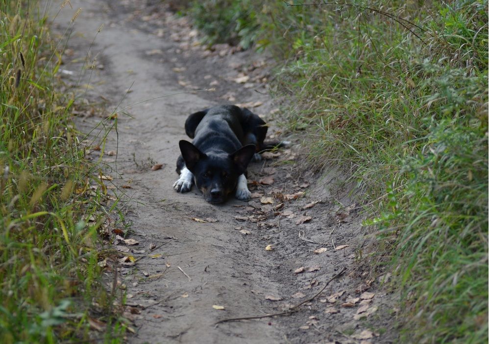 Photo 29943117