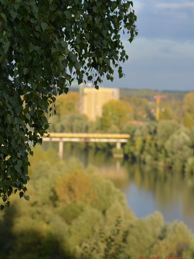 Photo 29943118