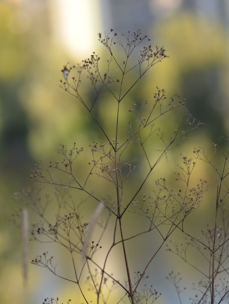 Photo 29943119