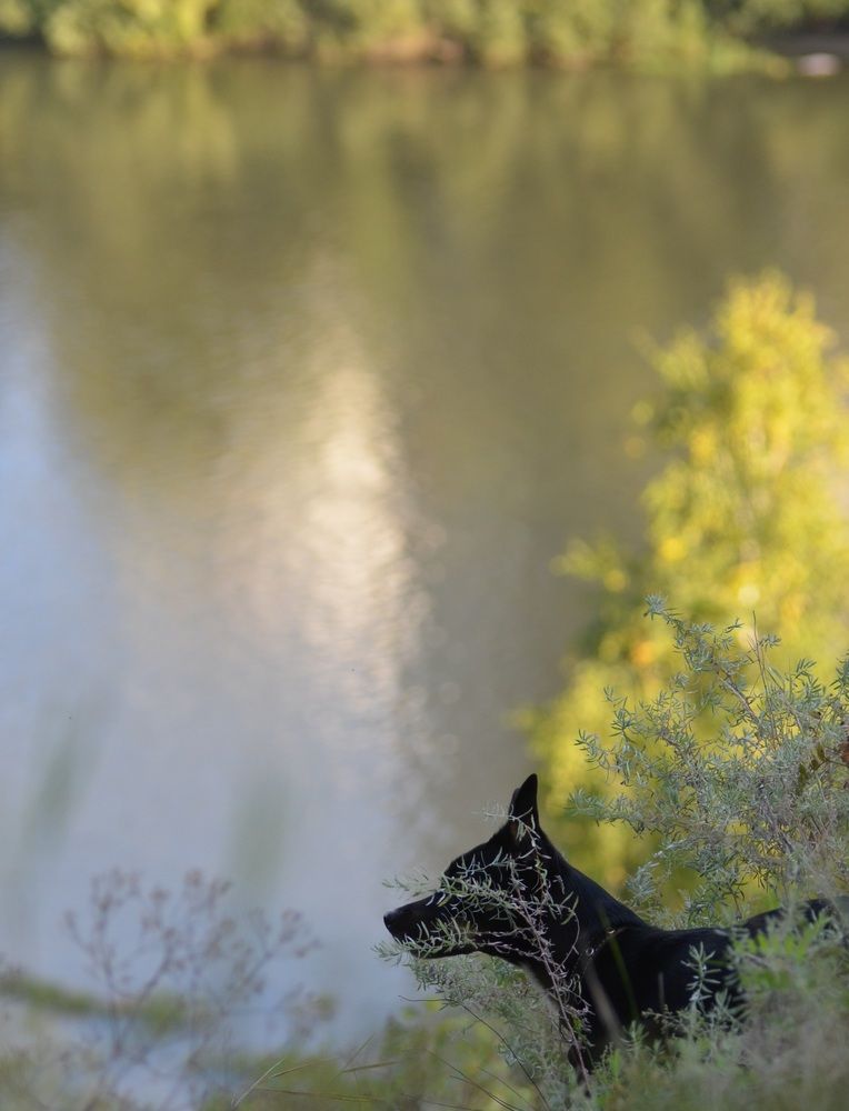 Photo 29943120