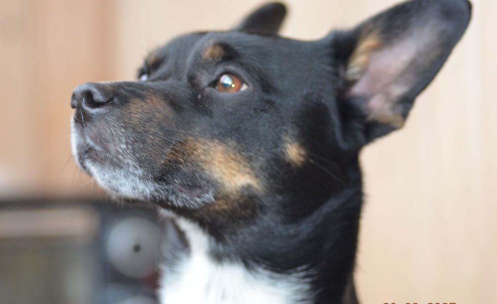 Photo 29943122
