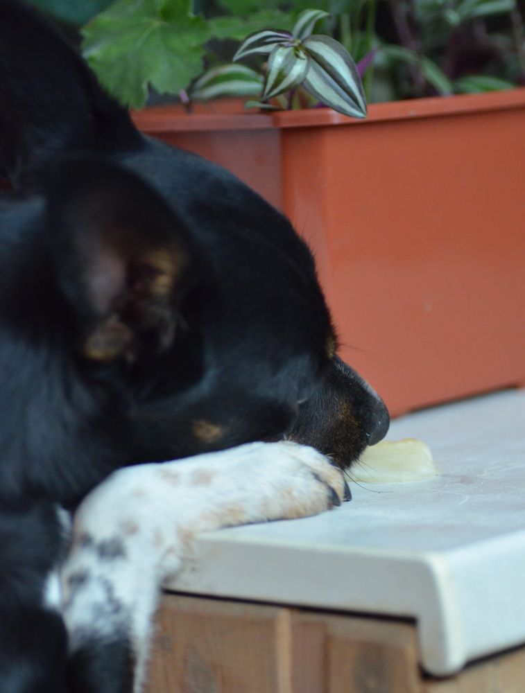 Photo 29943123