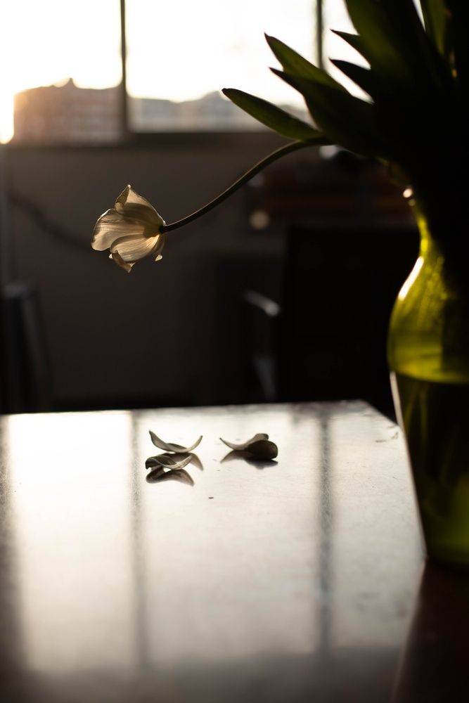 Photo 29943320