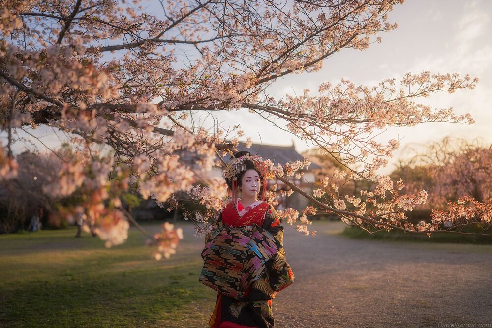 Geisha