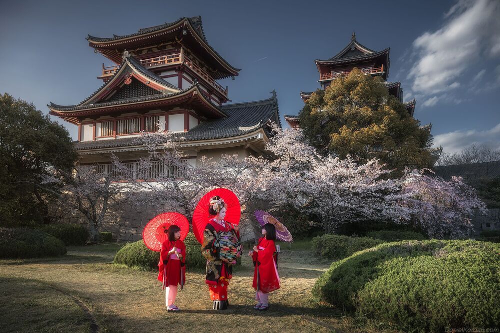 Geisha