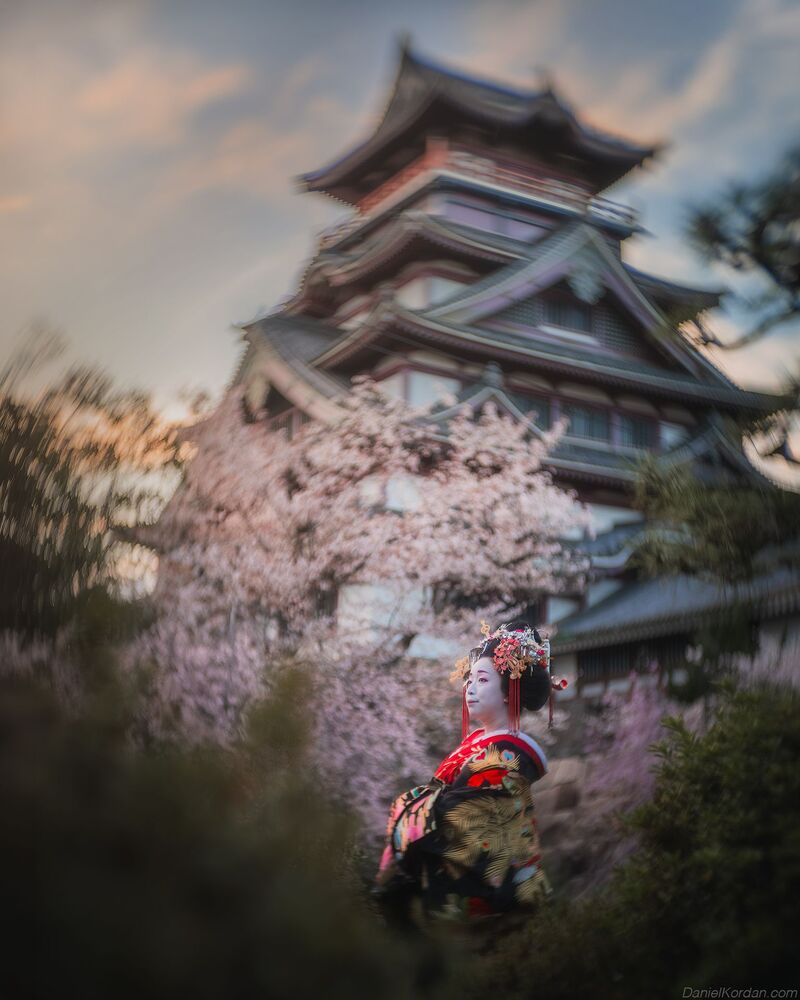 Geisha