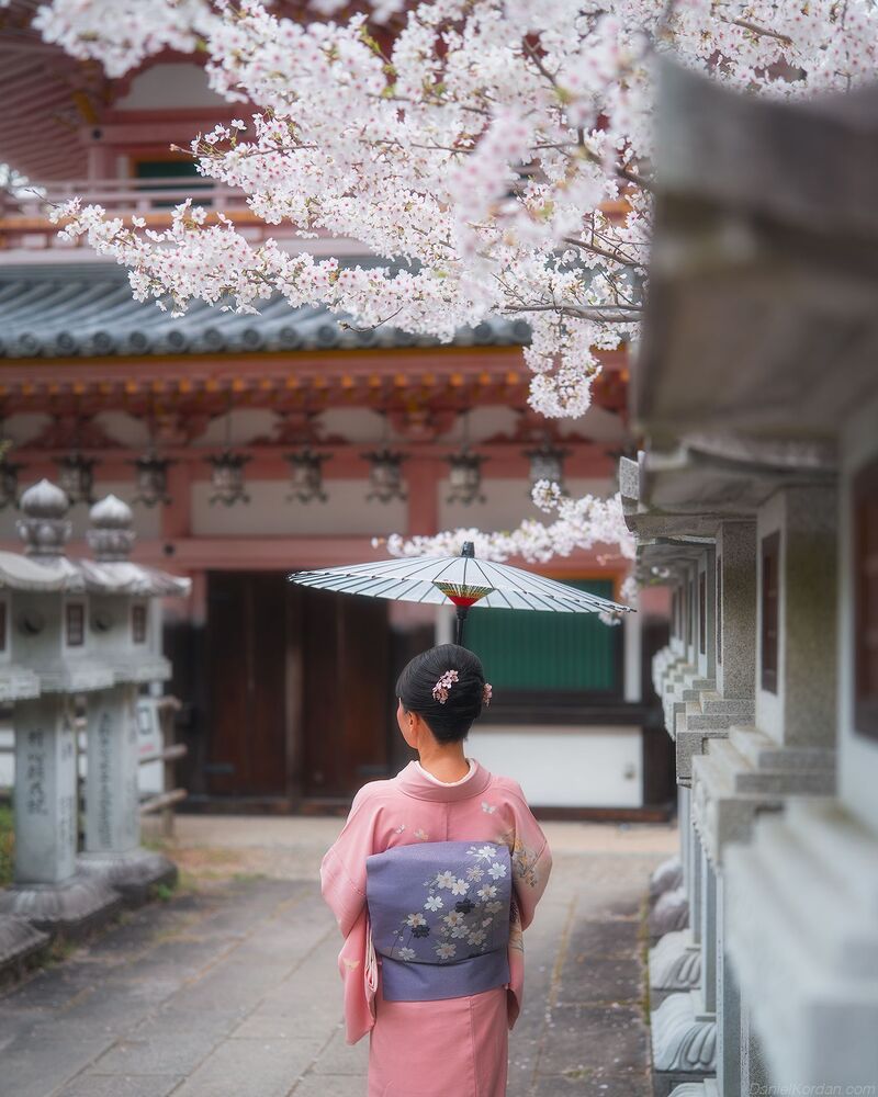 Sakura