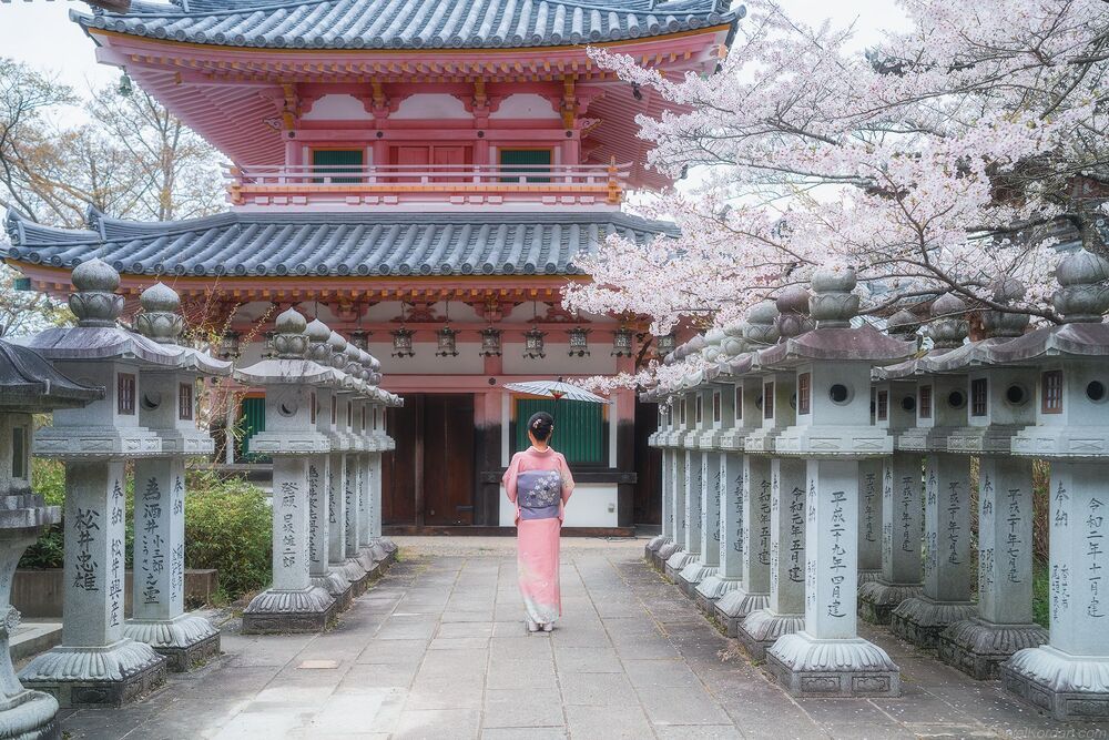 Sakura